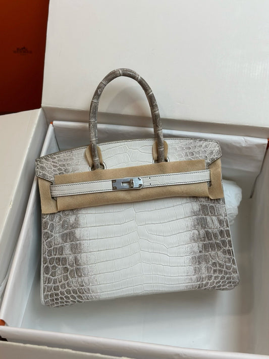 Hermes Birkin Himalayan 25cm