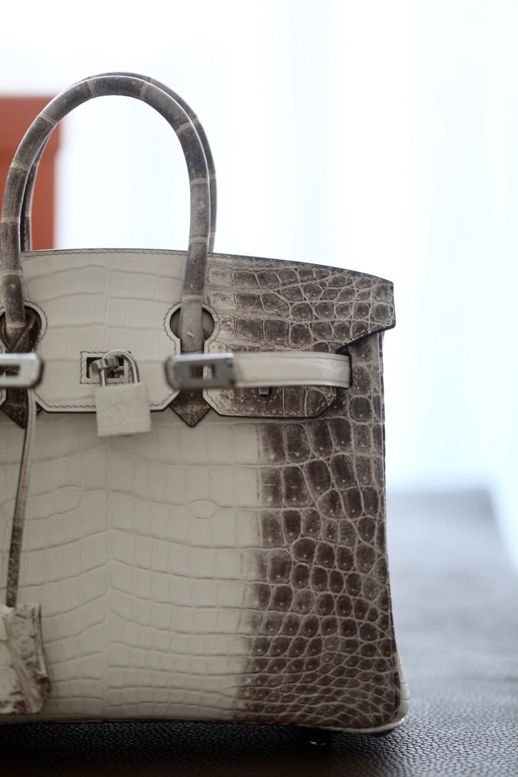 Hermes Birkin Himalayan 25cm