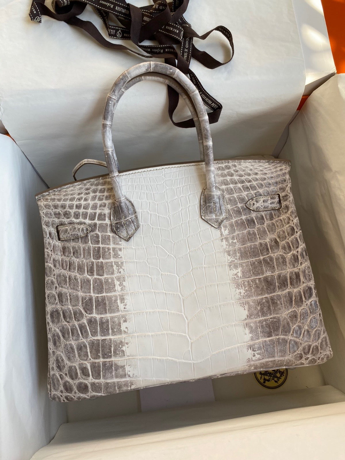 Hermes Birkin Himalayan 25cm