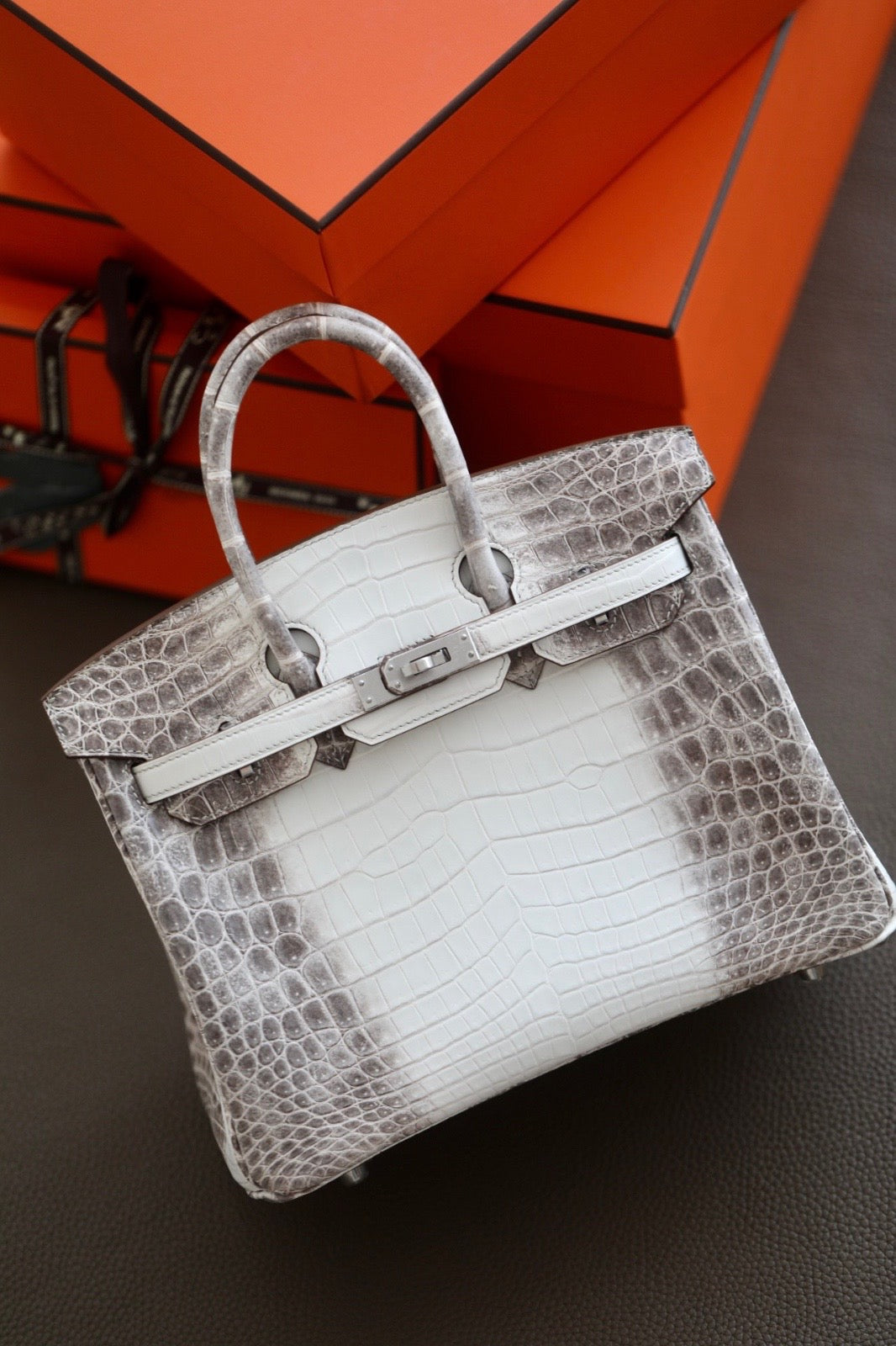 Hermes Birkin Himalayan 25cm