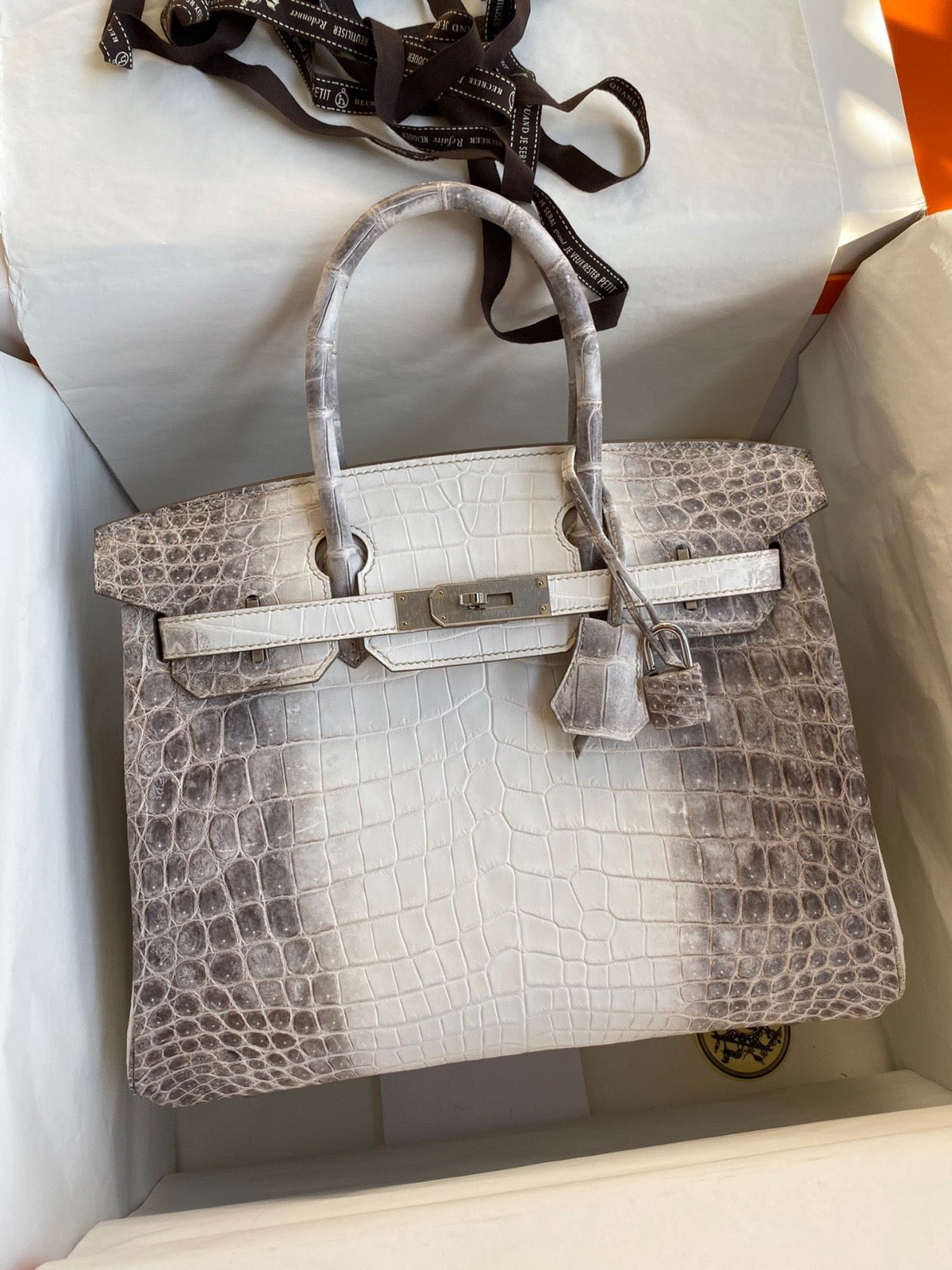 Hermes Birkin Himalayan 25cm