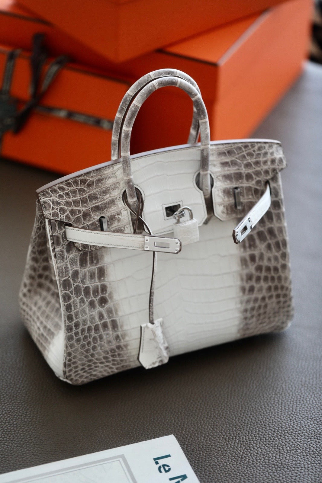 Hermes Birkin Himalayan 25cm