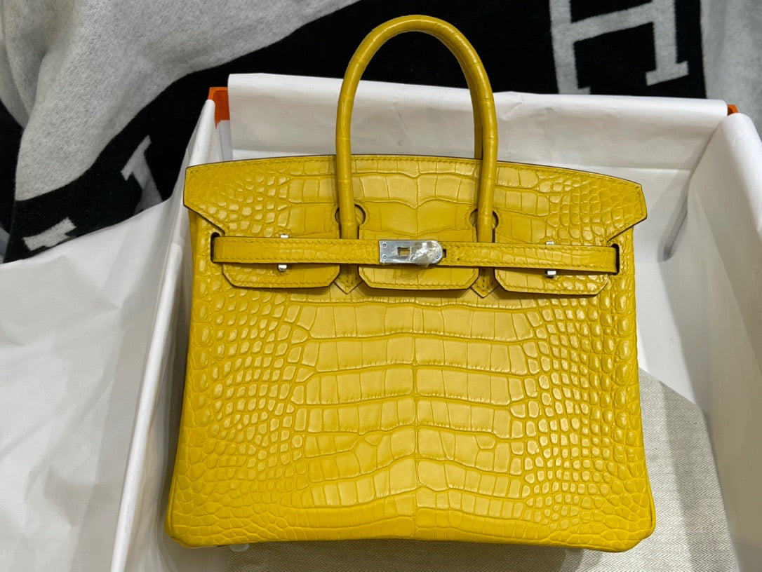 Hermes Birkin croc 25