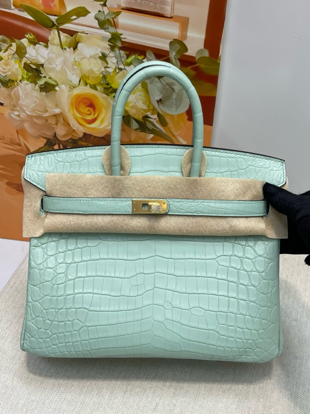 Hermes Birkin Alligator 25cm